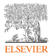 Elsevier