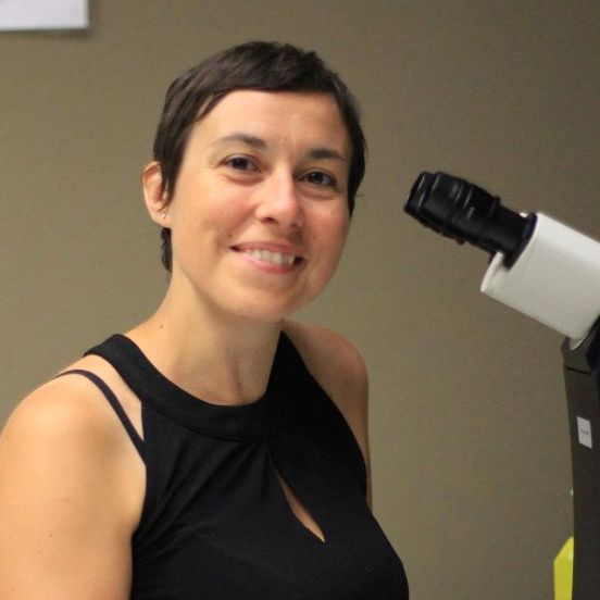 Profile picture of Laurence Huc