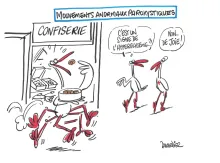 JNLF 2022 caricature