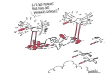 JNLF 2022 caricature