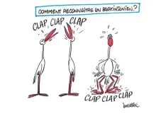 JNLF 2022 caricature